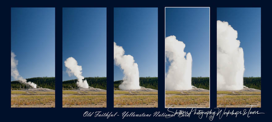 Old Faithful geyser in Yellowstone National Park