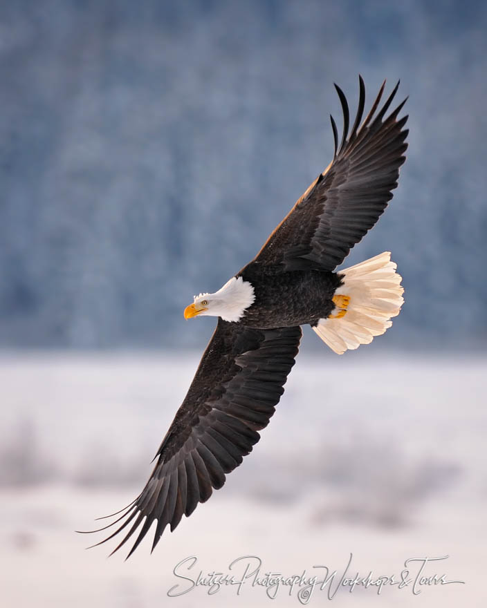 On the Wings of Eagles 20111120 133515