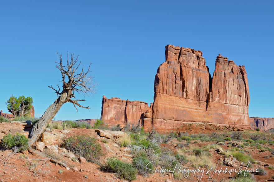 Organ in Arches National Park