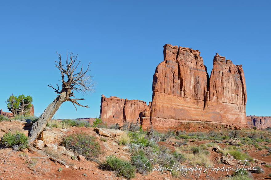 Organ in Arches National Park 20150427 081706