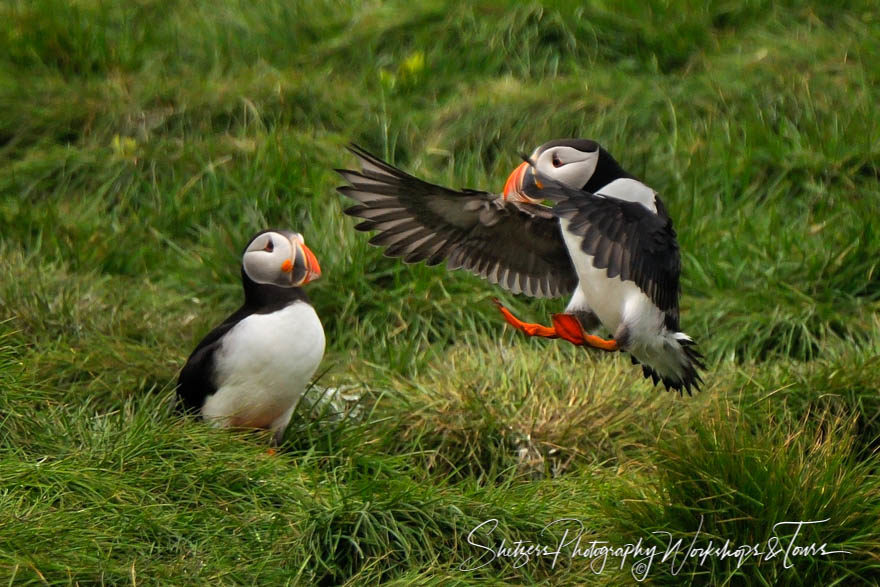 Preparing for Landing