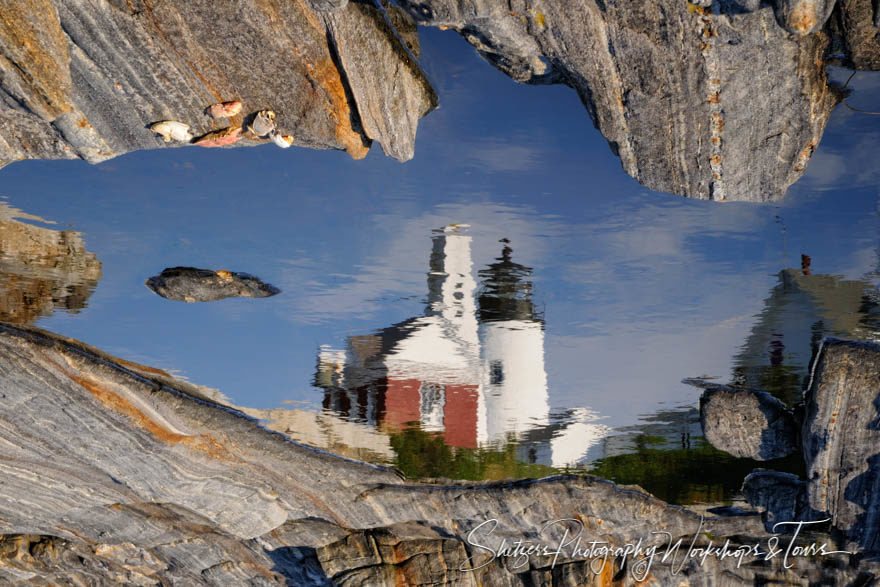 Reflection of Pemaquid Point Light