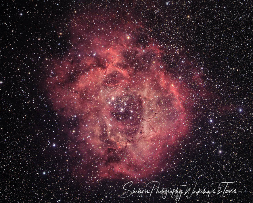 Rosette Nebula – NGC 2244 astrophotography