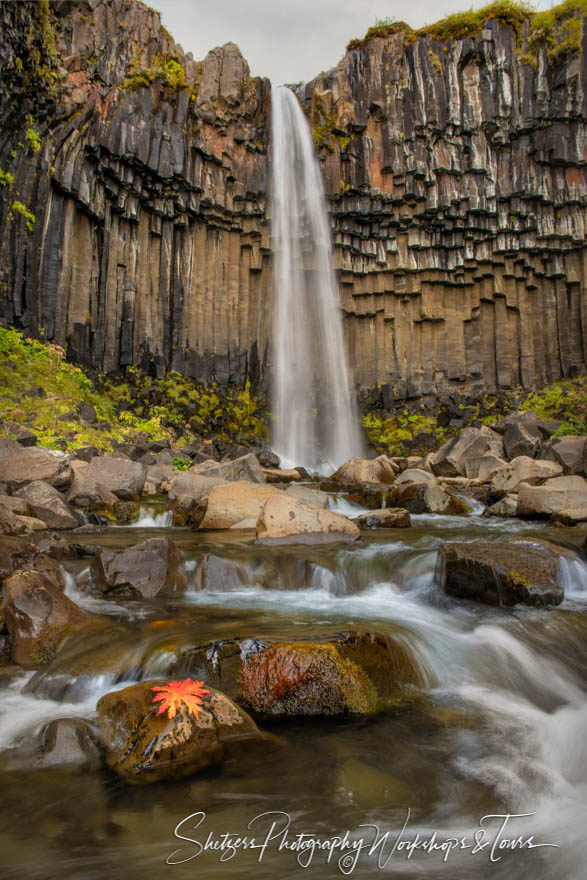 Svartifoss of Skaftafell National Park – Iceland