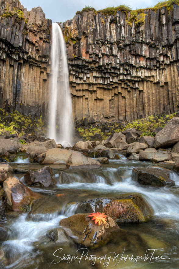 Svartifoss waterfall in Iceland