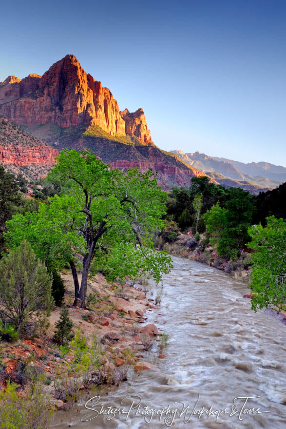 Watchman over the Virgin River in Zion National Park