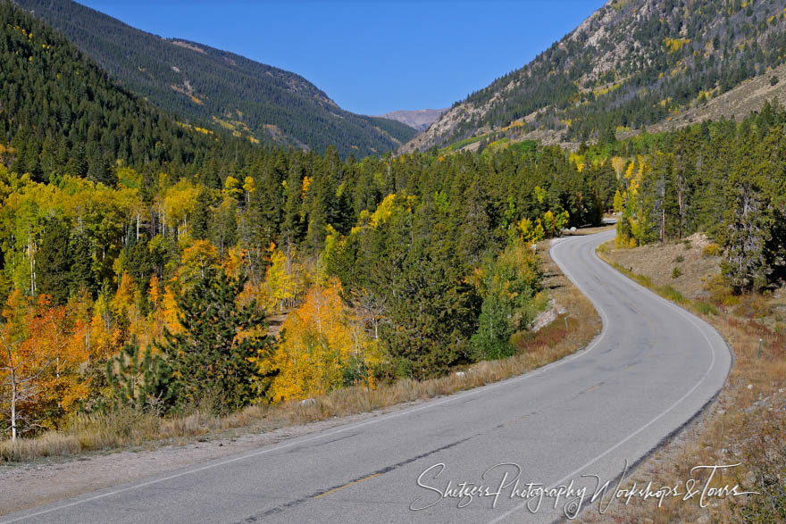 Winding Road with Fall Colors