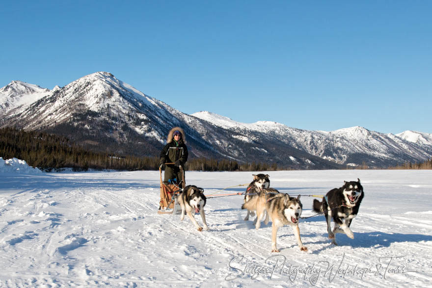 Woman uses dogsled for Alaska transportation