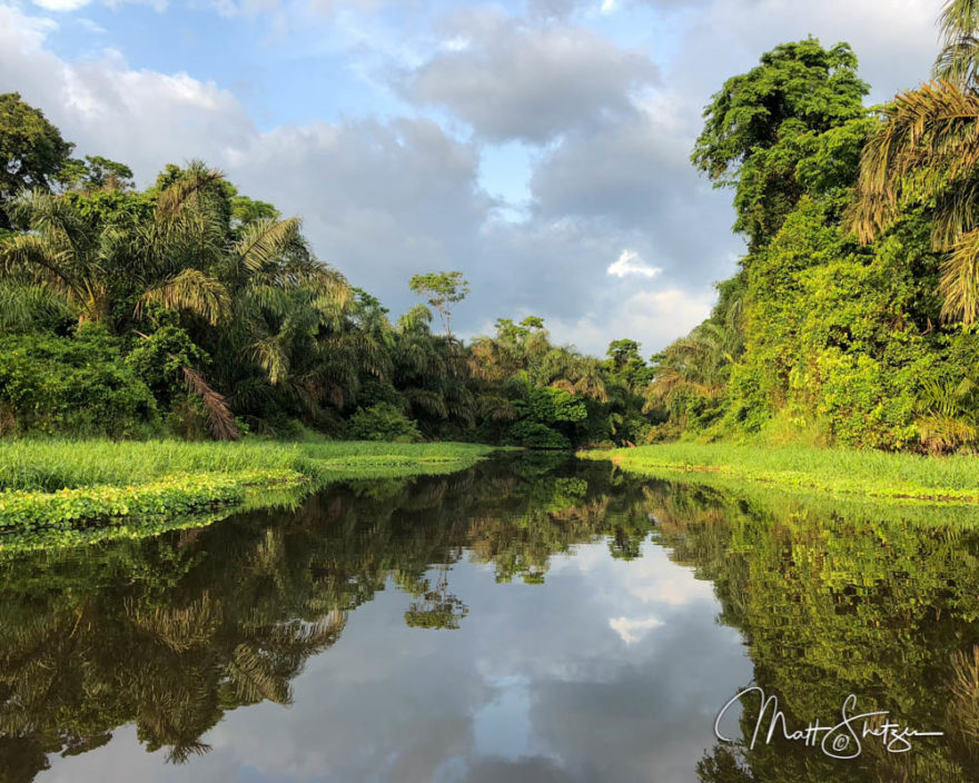 Costa Rica Tropical Lowlands Photo Workshop