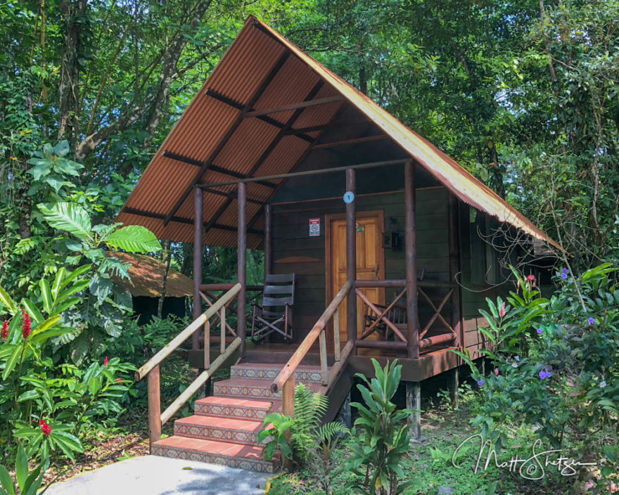Costa Rica Tropical Lowlands Photo Workshop