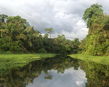 Costa Rica Tropical Lowlands Photography Workshop