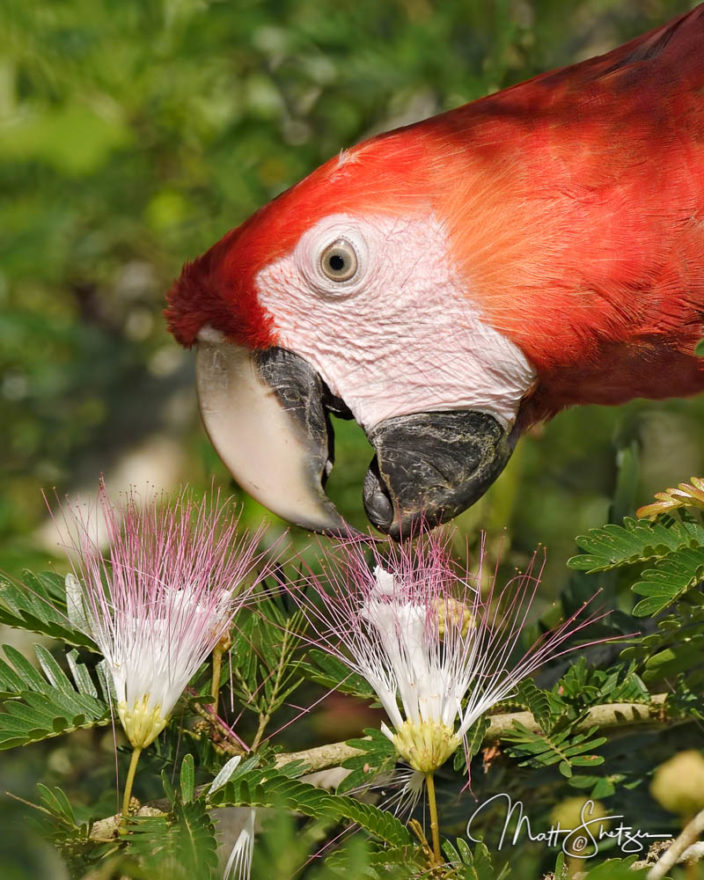 Costa Rica Photography Tour