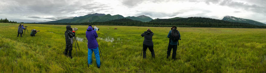 Bear Photography Workshop