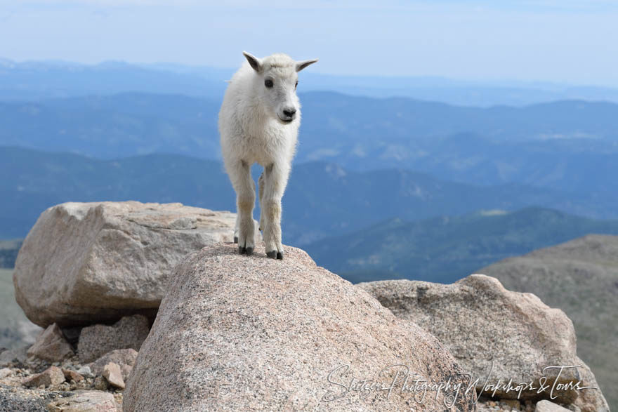 A kid enjoying the view