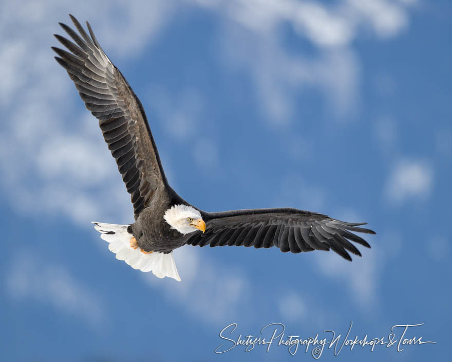 A moment in flight