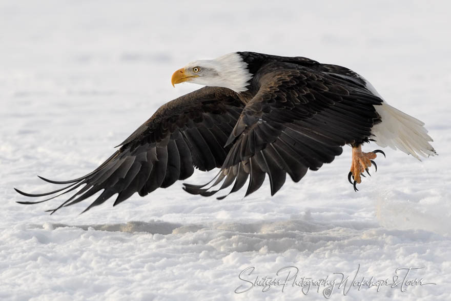 Landing in the snow 20171122 101156