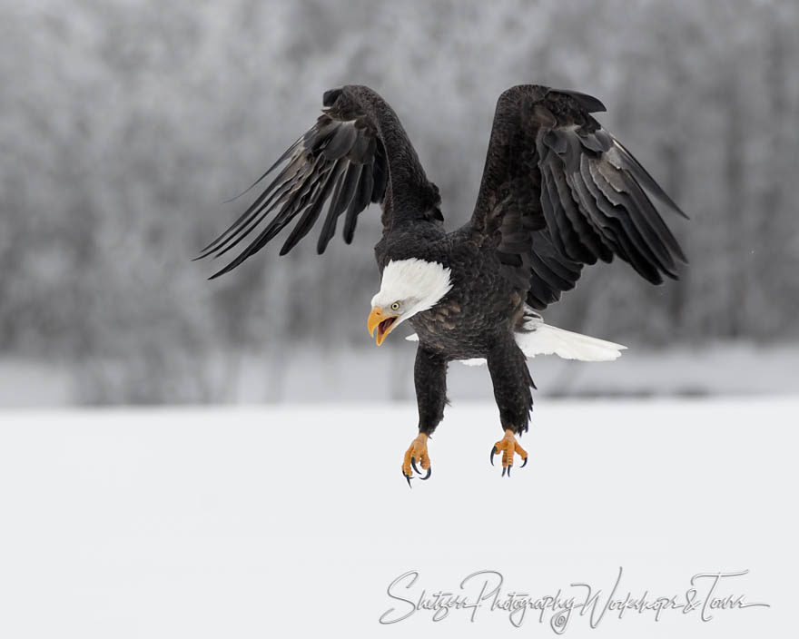 Seconds from a catch