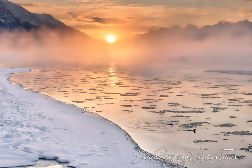 Sunrise through the fog