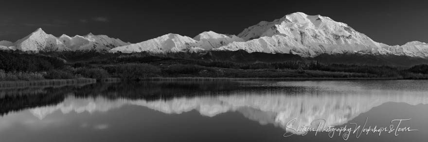 Denali in Black and White