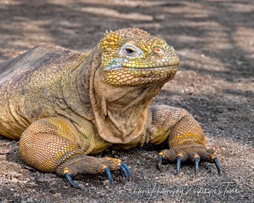 C Galapagos Photography Workshop 17