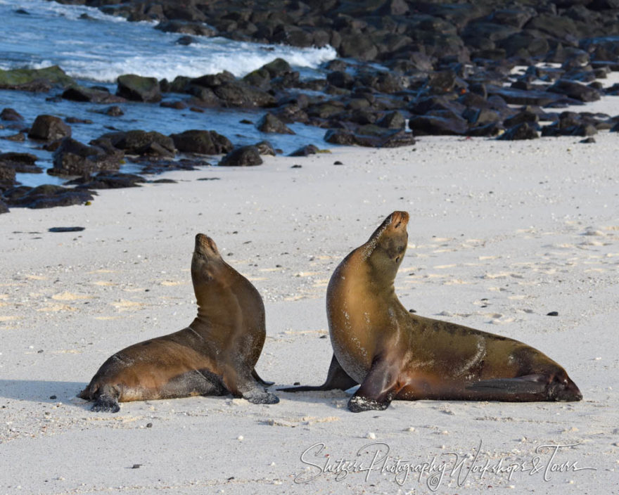 C Galapagos Photography Workshop 13