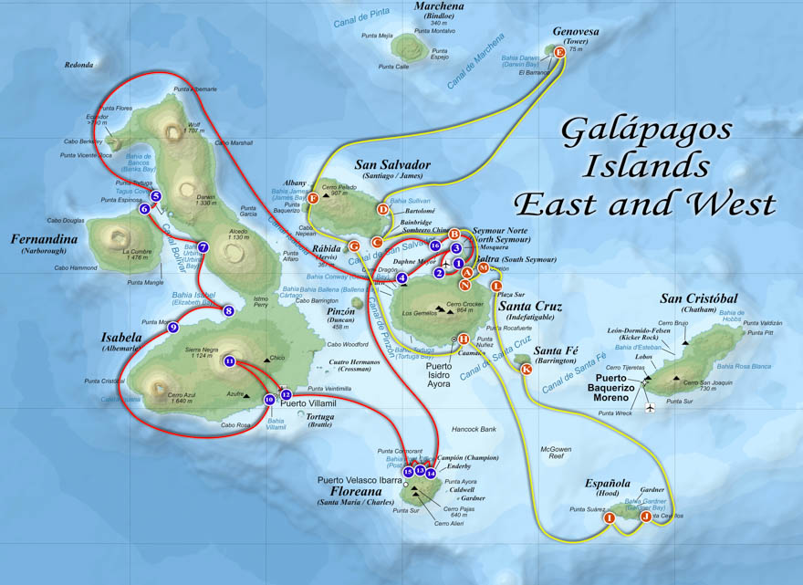 Ultimate Galapagos Photo Workshop