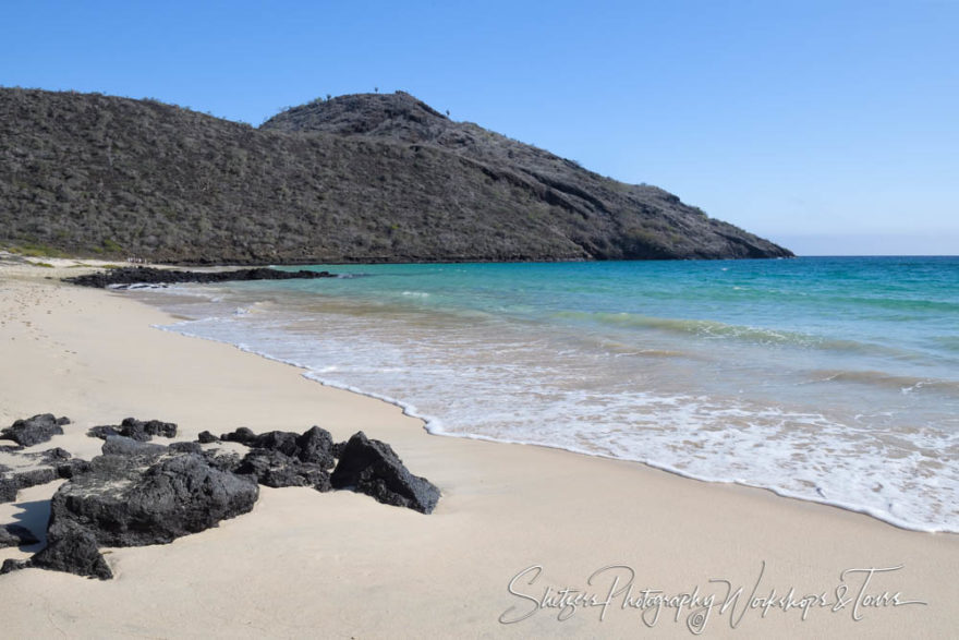 P Galapagos Photography Workshop 86