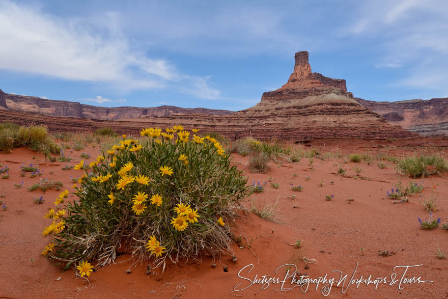 Potash Trail Moab Utah 20150503 120406