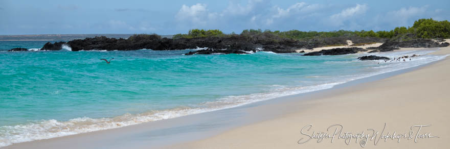 Galapagos Islands Beach Panorama 20200223 142029