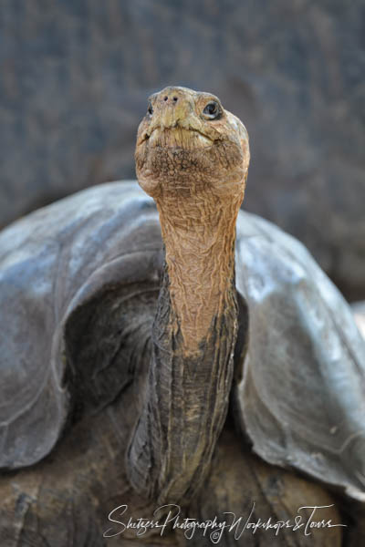 Galapagos Photo Tour