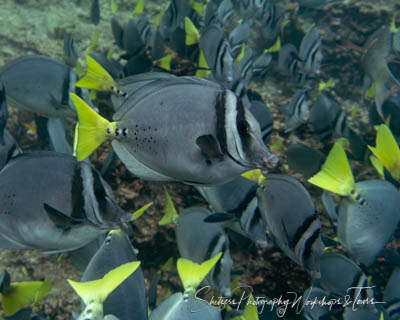 Galapagos Photo Tour