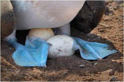 Galapagos Photo Tour