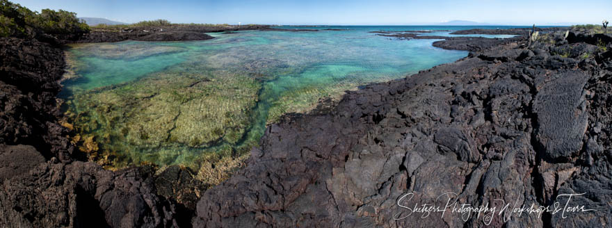 Punta Moreno on Isabela Island in the Galapagos 20200227 083000