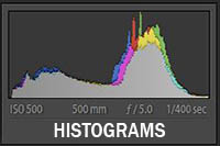 Histogram