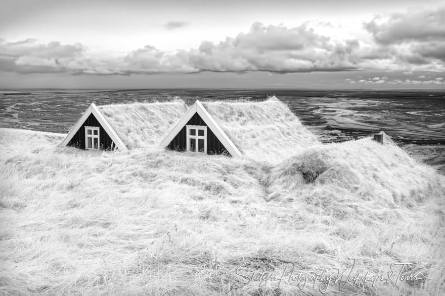 Sel Farm Iceland in Black and White