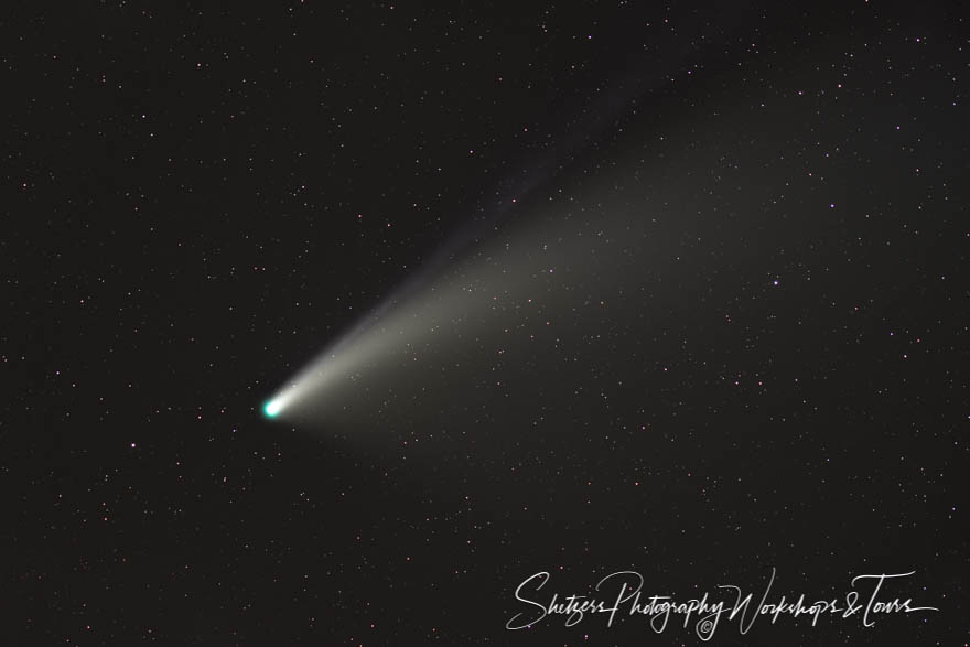Neowise Comet