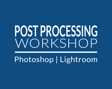 Shetzer's post processing workshop