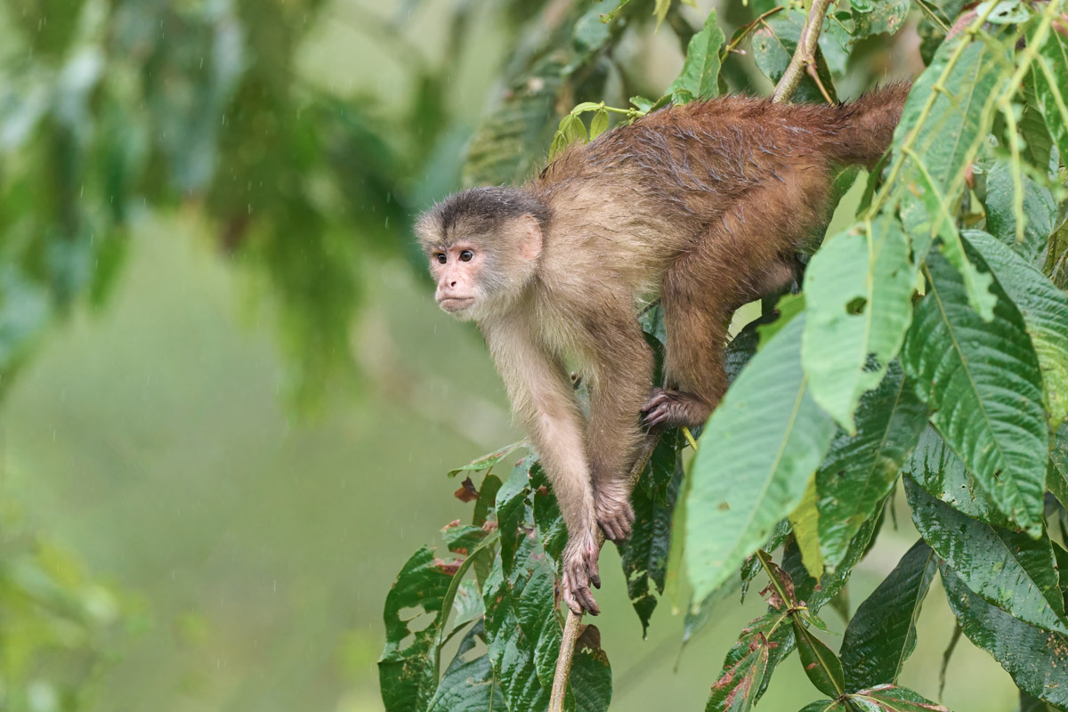 Ecuador Amazon Photography Workshop 12