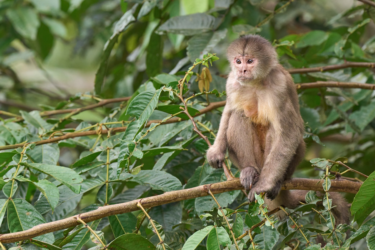 Ecuador Amazon Photography Workshop 23
