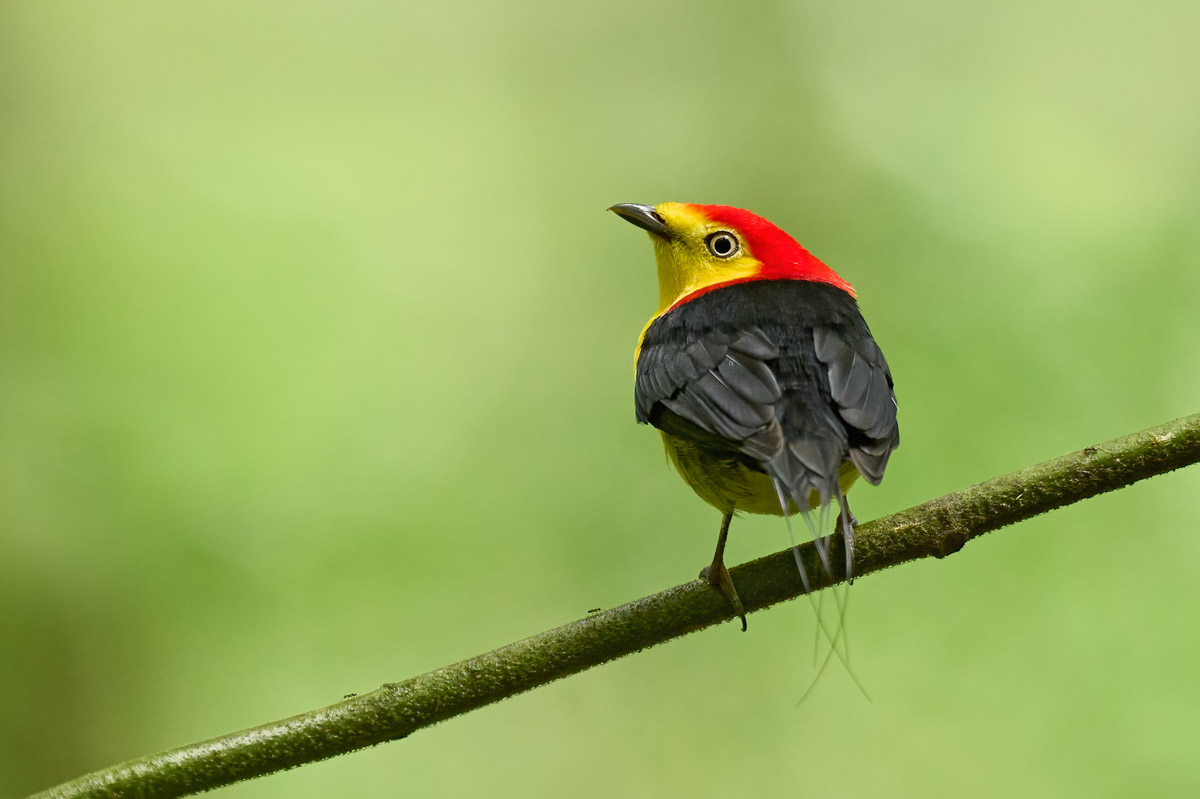 Ecuador Amazon Photography Workshop 29