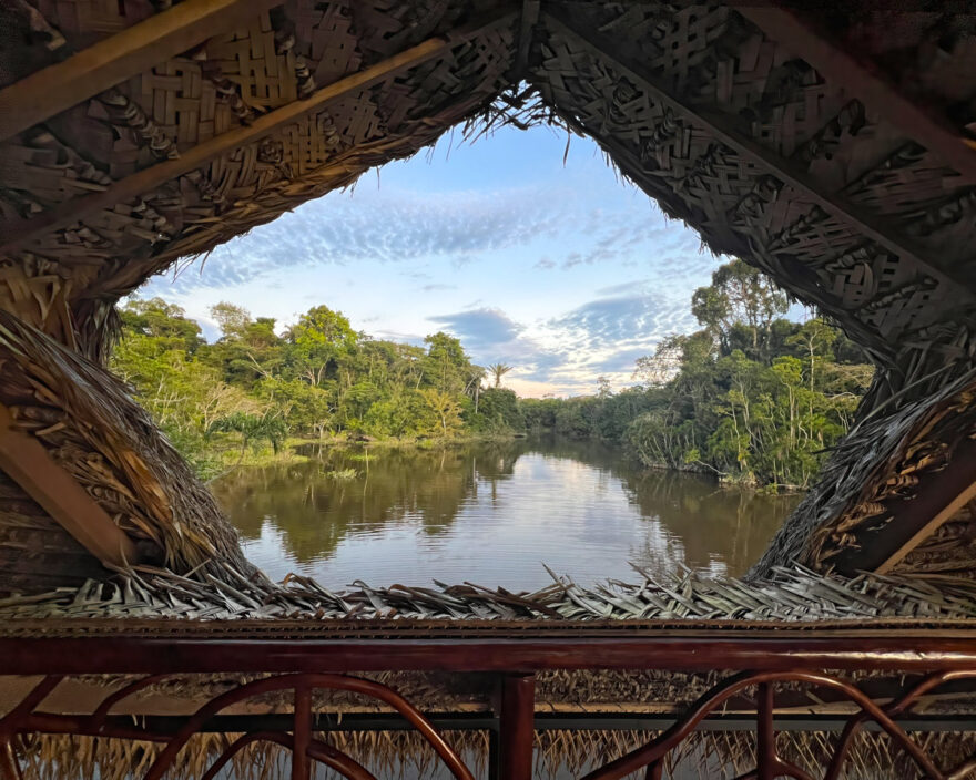 A room with a view