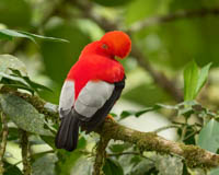 Ecuador Photo Workshop